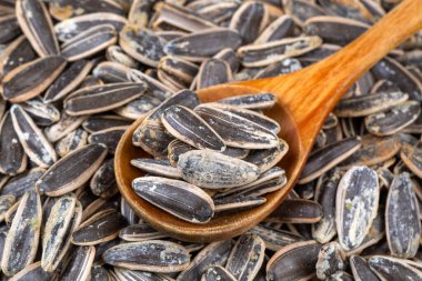 Beyaz arka planda tuzlu ayçiçeği tohumları