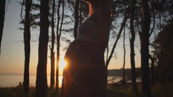 Schöne Silhouette schwangere Mädchen bei Sonnenuntergang. — Stockvideo