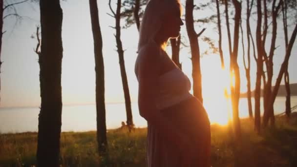 Hermosa silueta chica embarazada al atardecer . — Vídeos de Stock