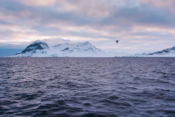 노르웨이 Spitsbergen 롱위에아르뷔엔 스발바르 — 스톡 사진