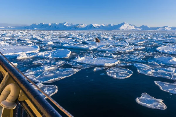 Norvégia Táj Jellege Hegyek Spitzbergák Longyearbyen Svalbard Jeges Téli Polar — Stock Fotó