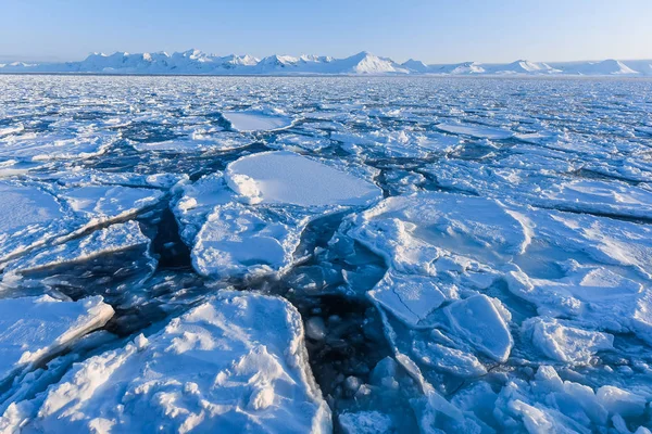 Норвегія Природа Краєвид Гір Шпіцбергенський Лонг Шпіцберген Льодовитий Океан Зимове — стокове фото