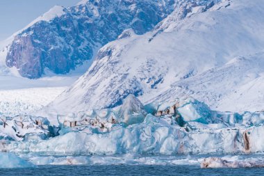  Norveç buzul doğası Spitsbergen 'in buzullu dağları Longyear byen Svalbard kutup okyanusu kış kutup günü gün batımı gökyüzü