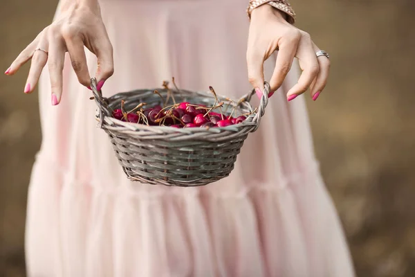 Close Portrait Beautiful Romantic Brunette Girl Basket Cherries Green Garden — Stock Photo, Image