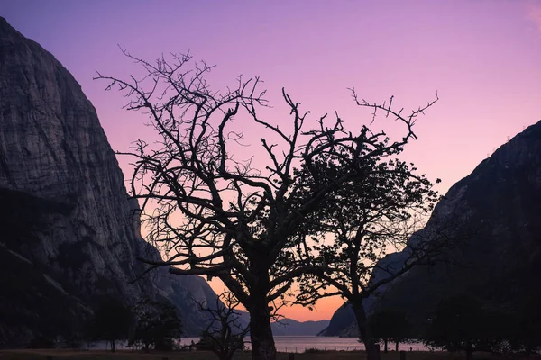 Landschap Reizen Weg Naar Steen Van Kjerag Kjeragbolten Bergen Van — Stockfoto