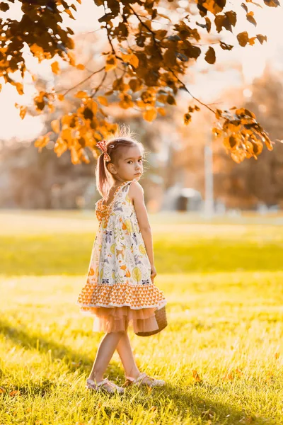 特写肖像一个美丽的女孩在一个浪漫的橙色可爱的礼服与在一个黄色的秋季花园公园微笑阳光明媚的一天庆祝万圣节与南瓜 — 图库照片