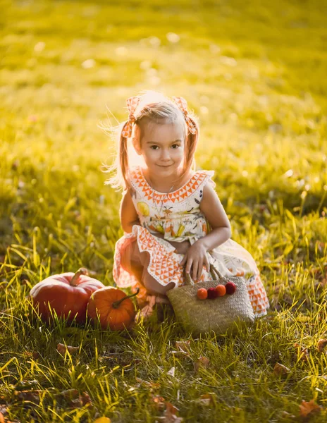 特写肖像一个美丽的女孩在一个浪漫的橙色可爱的礼服与在一个黄色的秋季花园公园微笑阳光明媚的一天庆祝万圣节与南瓜 — 图库照片