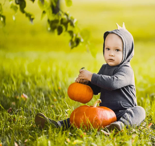 close-up portrait of a beautiful boy in in dragon costume  a  with in a yellow autumn garden park  smiling sunny day celebrates Halloween with pumpkins