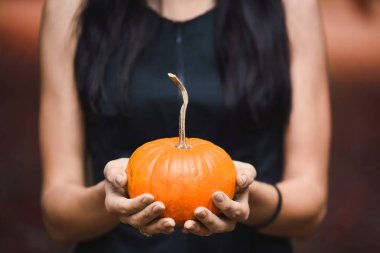 Turuncu kabak ile siyah şapkalı bir genç kız cadı yakın çekim el sarı sonbahar Bahçe park Halloween pumpkins ile kutluyor