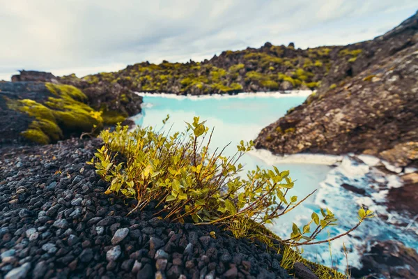 Blue Lagoon Pobliżu Reykjavik Islandia Słynny Islandzki Arktyczny Thermal Spa — Zdjęcie stockowe