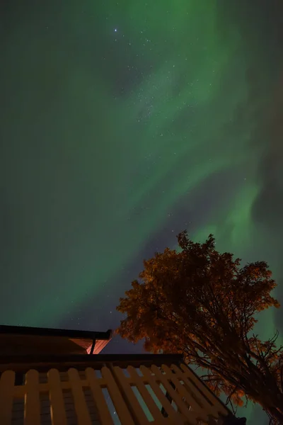 Ártico Polar Aurora Boreal Aurora Boreal Cielo Estrella Noruega Tromso — Foto de Stock