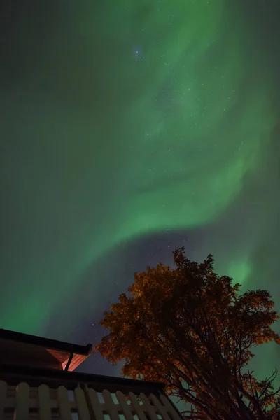 Polar Arktiska Norrsken Aurora Borealis Sky Stjärnan Norge Tromsö Gården — Stockfoto