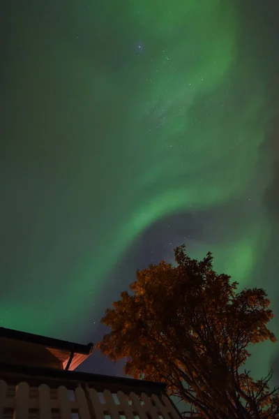 Sarki Sarkvidéki Northern Lights Aurora Borealis Csillagos Norvégia Tromso Mezőgazdasági — Stock Fotó