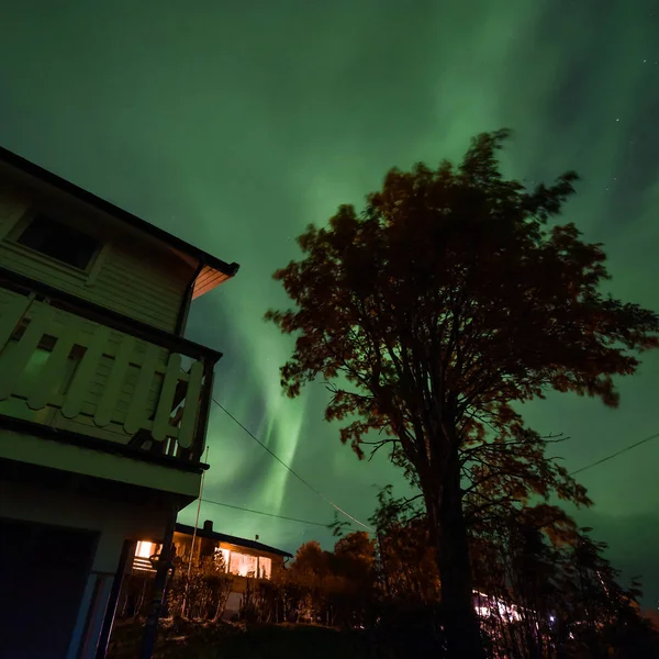 Polarny Arktyczny Zorza Polarna Zorza Polarna Niebo Gwiazdy Tromso Norwegii — Zdjęcie stockowe