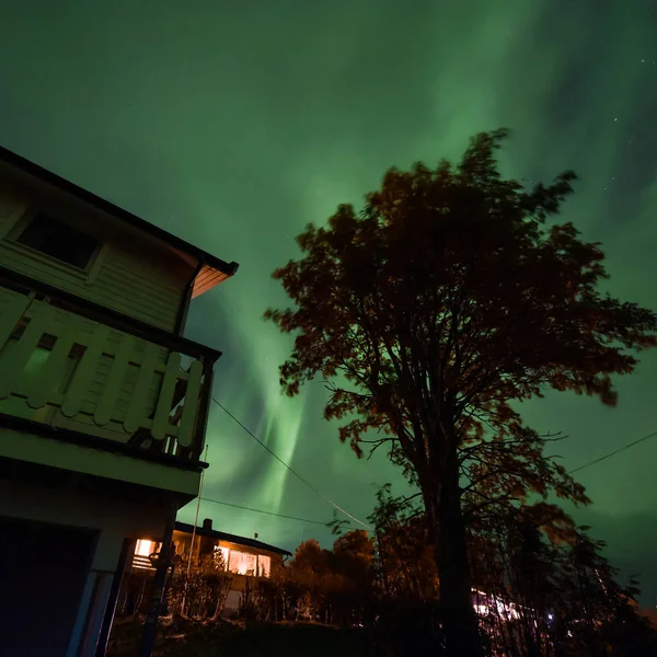 Norveç Tromso Çiftlik Köy Dağlarda Kutup Kutup Kuzey Işıkları Aurora — Stok fotoğraf