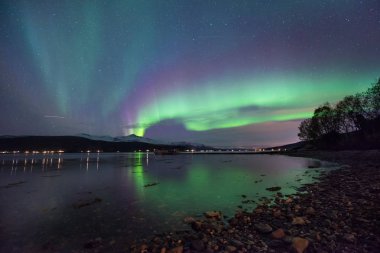İskandinavya Norveç Tromso çiftlik köy dağlarda kutup kutup kuzey ışıkları aurora borealis gökyüzü yıldız