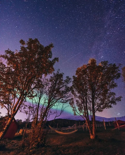 Aurora Boreal Polar Ártica Aurora Boreal Estrella Del Cielo Escandinavia — Foto de Stock