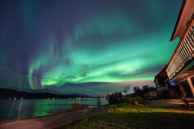 The polar arctic Northern lights aurora borealis sky star in Scandinavia Norway Tromso in the farm village  mountains clipart