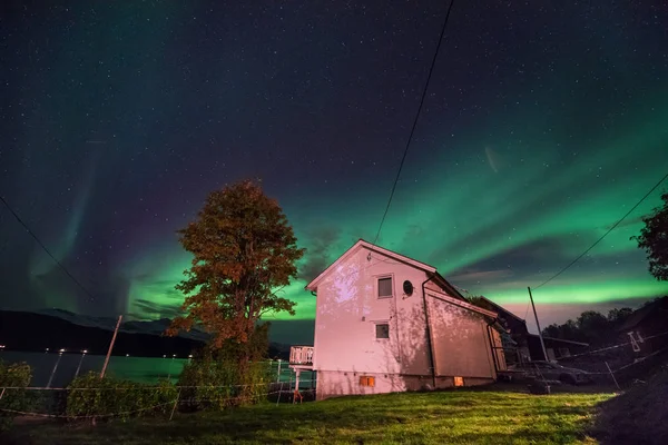 Polar Arctic Northern Lights Aurora Borealis Sky Star Scandinavia Norway — Stock Photo, Image