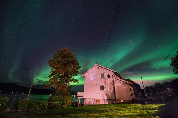 Polar Arctic Northern Lights Aurora Borealis Sky Star Scandinavia Norway — Stock Photo, Image