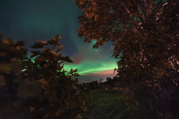 Aurora Boreal Polar Ártica Aurora Boreal Estrella Del Cielo Escandinavia — Foto de Stock