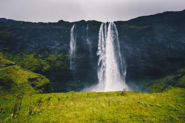 Görkemli şelale İzlanda'daki Seljalandsfoss bulutlu havalarda Güz