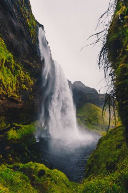 Görkemli şelale İzlanda'daki Seljalandsfoss bulutlu havalarda Güz