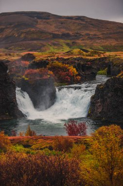 Görkemli şelale İzlanda'daki Hjalparfoss bulutlu havalarda Güz