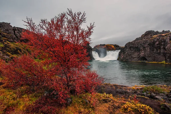 Μεγαλοπρεπής Καταρράκτης Hjalparfoss Στην Ισλανδία Φθινόπωρο Καιρός Είναι Συννεφιασμένος — Φωτογραφία Αρχείου