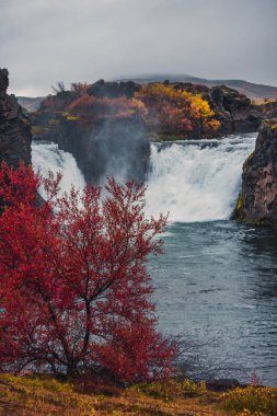 Görkemli şelale İzlanda'daki Hjalparfoss bulutlu havalarda Güz