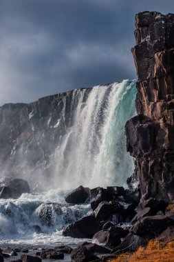 görkemli şelale Oxararfoss Thingvellir Milli Parkı İzlanda'da güneşli havalarda sonbaharda