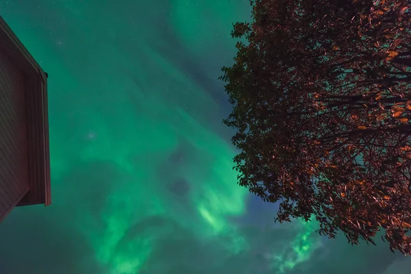 Polarny Arktyczny Zorza Polarna Zorza Polarna Niebo Gwiazda Skandynawia Norwegia — Zdjęcie stockowe
