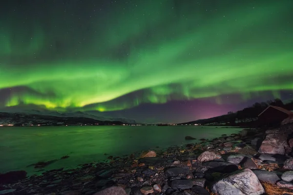 Polarny Arktyczny Zorza Polarna Zorza Polarna Niebo Star Svalbard Norwegia — Zdjęcie stockowe