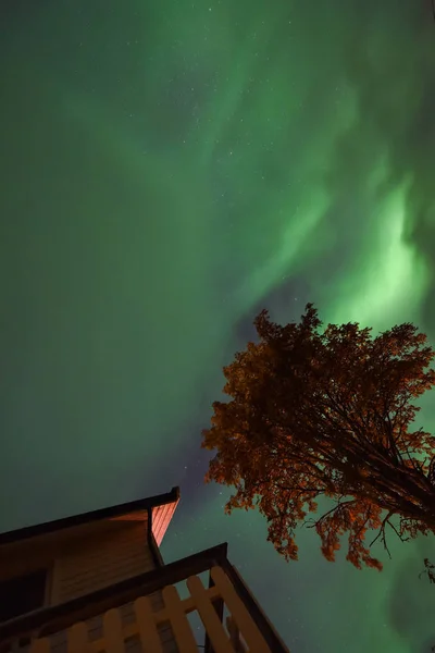 Sarki Sarkvidéki Northern Lights Aurora Borealis Csillagos Skandinávia Norvégia Tromso — Stock Fotó