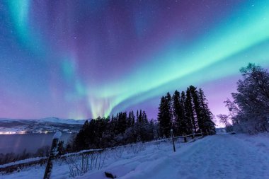 İskandinavya Norveç Tromso çiftlik kış orman kar dağlarda kutup kutup kuzey ışıkları aurora borealis gökyüzü yıldız 