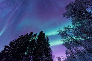 İskandinavya Norveç Tromso çiftlik kış orman kar dağlarda kutup kutup kuzey ışıkları aurora borealis gökyüzü yıldız 