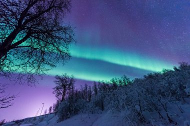 İskandinavya Norveç Tromso çiftlik kış orman kar dağlarda kutup kutup kuzey ışıkları aurora borealis gökyüzü yıldız 