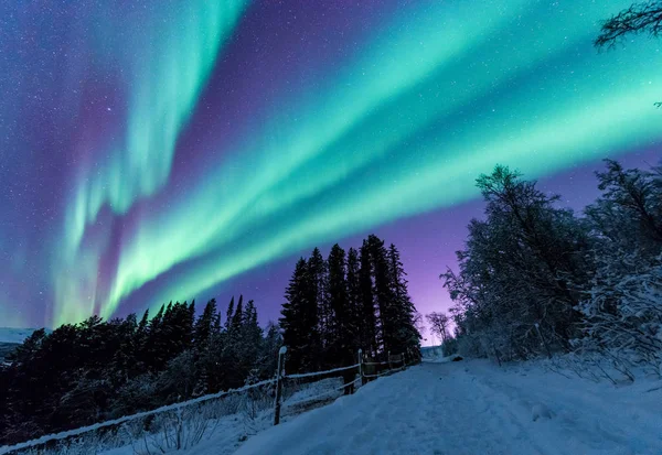 ファーム冬森雪の山に北欧ノルウェー トロムソの北極北極のオーロラ オーロラ空星 — ストック写真