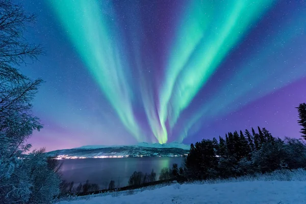 İskandinavya Norveç Tromso çiftlik kış orman kar dağlarda kutup kutup kuzey ışıkları aurora borealis gökyüzü yıldız 