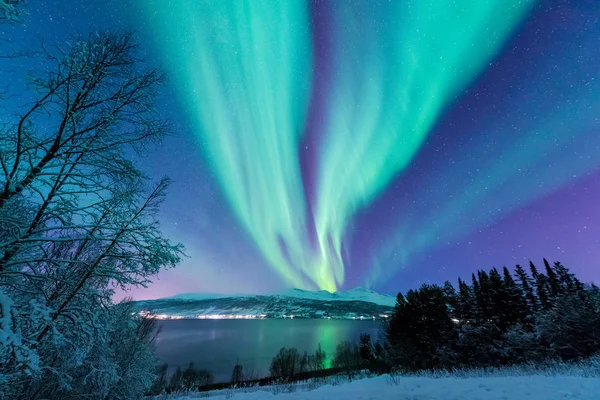 İskandinavya Norveç Tromso çiftlik kış orman kar dağlarda kutup kutup kuzey ışıkları aurora borealis gökyüzü yıldız 