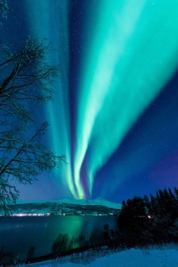 İskandinavya Norveç Tromso çiftlik kış orman kar dağlarda kutup kutup kuzey ışıkları aurora borealis gökyüzü yıldız 
