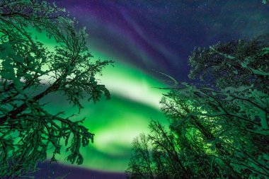 İskandinavya Norveç Tromso çiftlik kış orman kar dağlarda kutup kutup kuzey ışıkları aurora borealis gökyüzü yıldız 