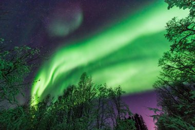 İskandinavya Norveç Tromso çiftlik kış orman kar dağlarda kutup kutup kuzey ışıkları aurora borealis gökyüzü yıldız 