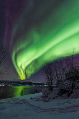 İskandinavya Norveç Tromso çiftlik kış orman kar dağlarda kutup kutup kuzey ışıkları aurora borealis gökyüzü yıldız 