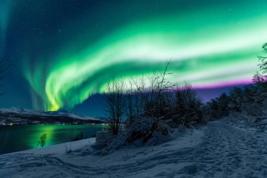 İskandinavya Norveç Tromso çiftlik kış orman kar dağlarda kutup kutup kuzey ışıkları aurora borealis gökyüzü yıldız 
