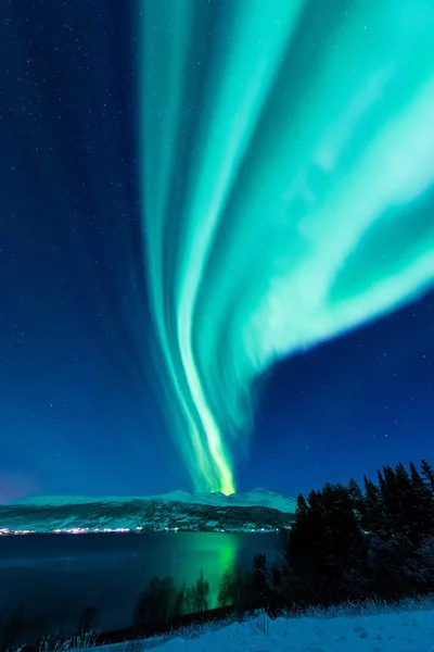 ファーム冬森雪の山に北欧ノルウェー トロムソの北極北極のオーロラ オーロラ空星 — ストック写真