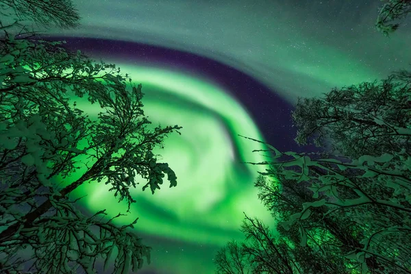Les Aurores Boréales Aurores Boréales Ciel Étoilé Scandinavie Norvège Tromso — Photo