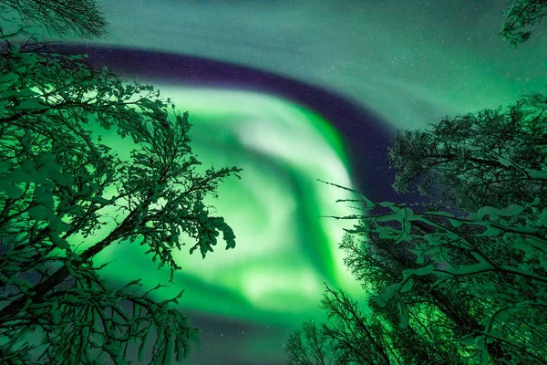 Las Luces Polares Árticas Del Norte Aurora Boreal Cielo Estrella —  Fotos de Stock