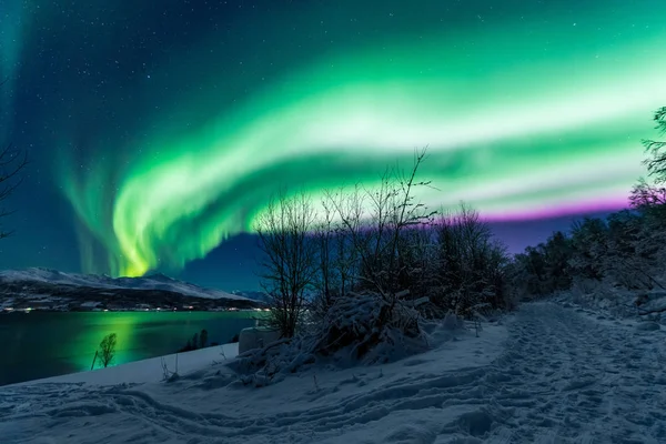 Polarnych Arktycznych Zorza Polarna Zorza Polarna Niebo Gwiazda Skandynawia Norwegia — Zdjęcie stockowe