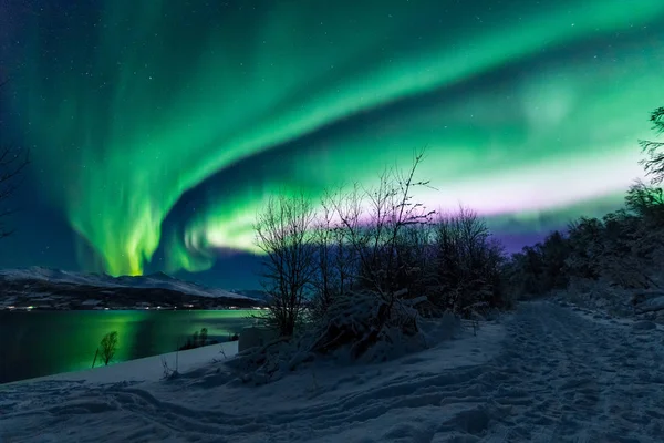 Sarki Sarkvidéki Northern Lights Aurora Borealis Csillagos Skandinávia Norvégia Tromso — Stock Fotó